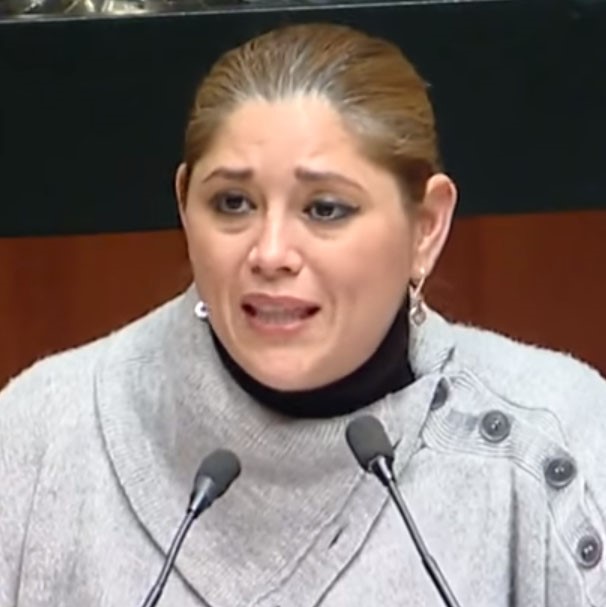 Verónica Camino, no ha hecho nada desde el Senado  para beneficiar a Yucatán y en cambio sólo se la pasa en sus redes