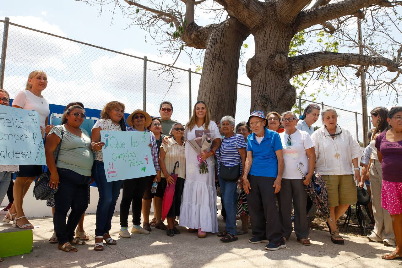 Emite Cecilia Patrón declaratoria para proteger el valor histórico yambiental de los árboles de Mérida. 