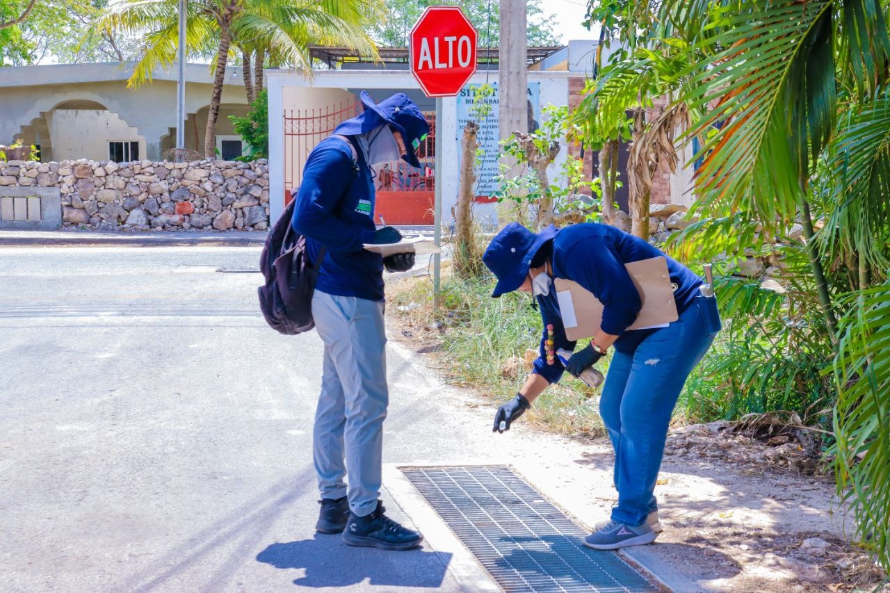 00c2367c-aebe-4da9-bd18-76340745f6e5