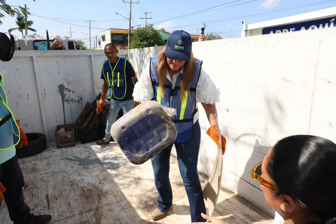 390f2a0b-edc4-4955-b31f-3c312b9b91d9