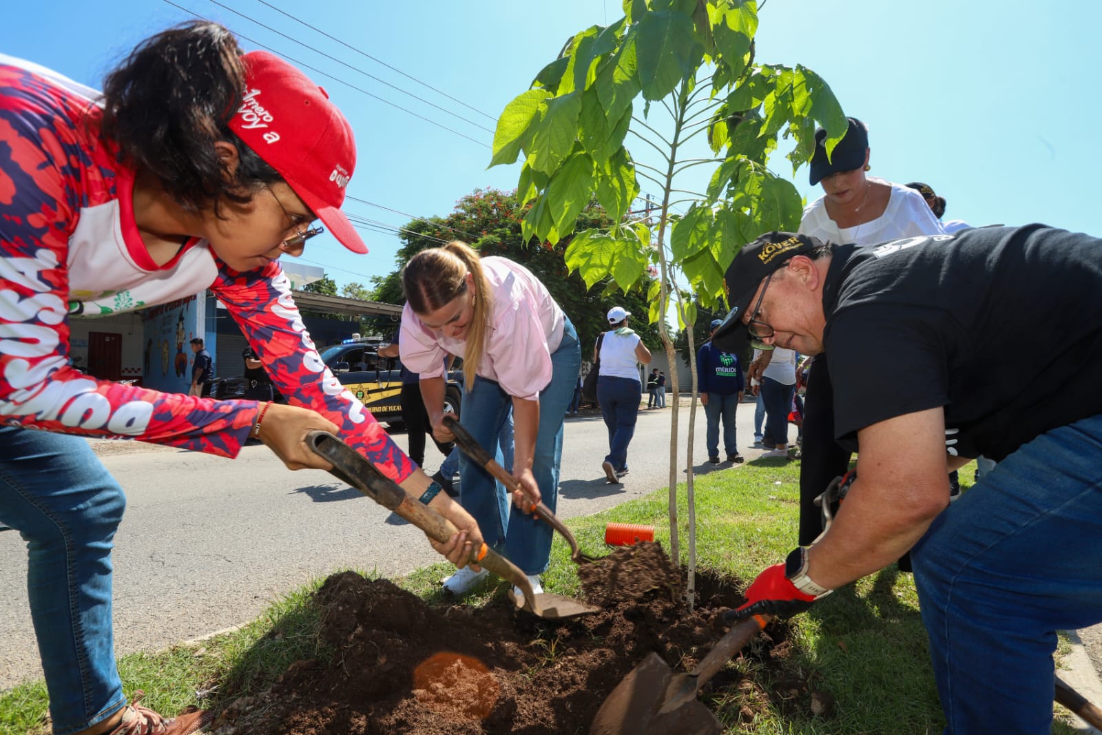 001cadfe-cb87-4716-8a45-a5e29fdcf34a