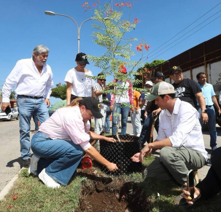 b3aa48aa-a872-44a2-a0f6-c235be74f543