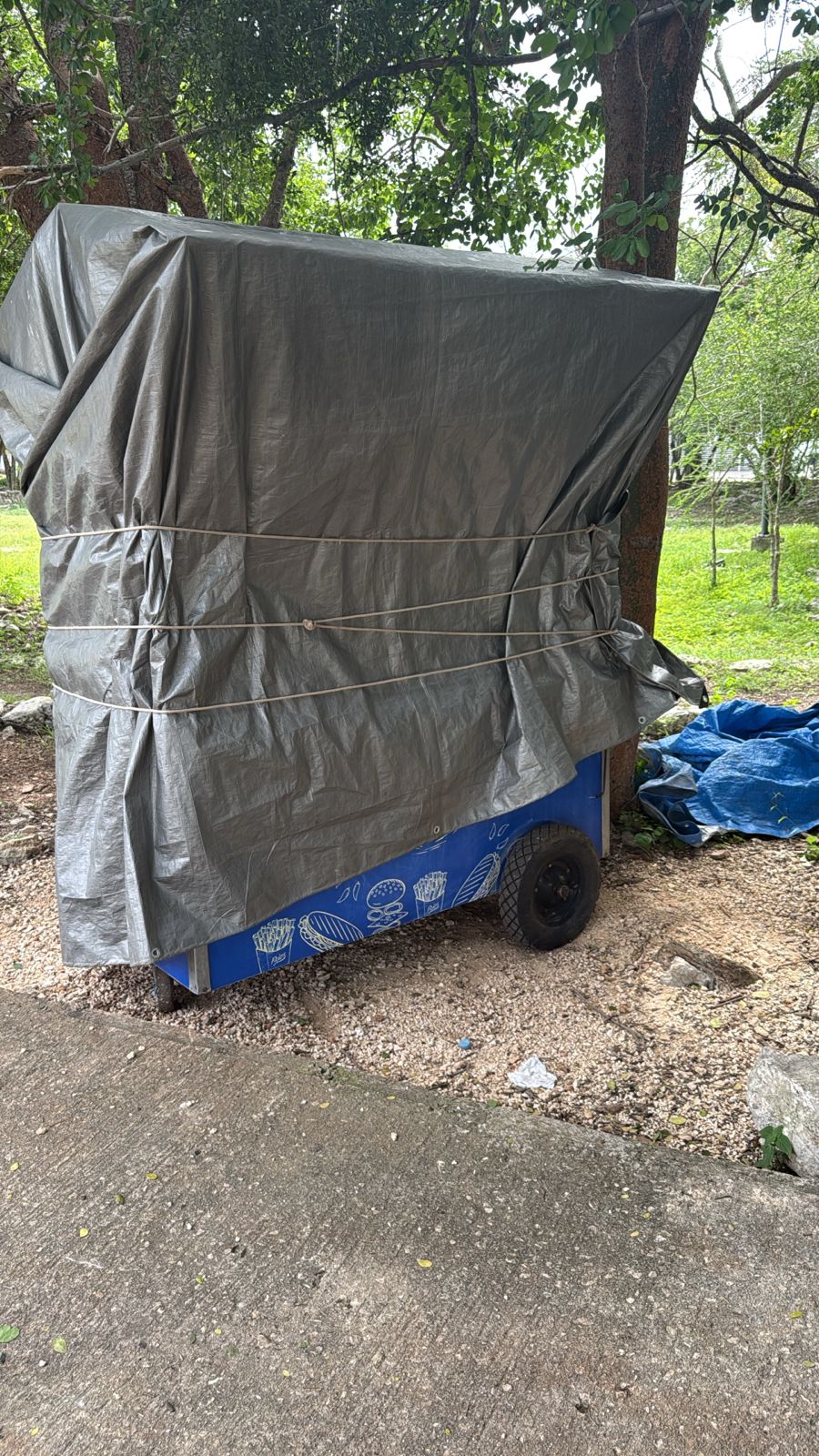 88ef46f3-dd39-4ae6-b4e1-8e1f3ceeae8d