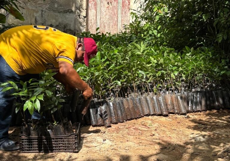 WhatsApp-Image-2025-10-08-at-9.43.25-AM