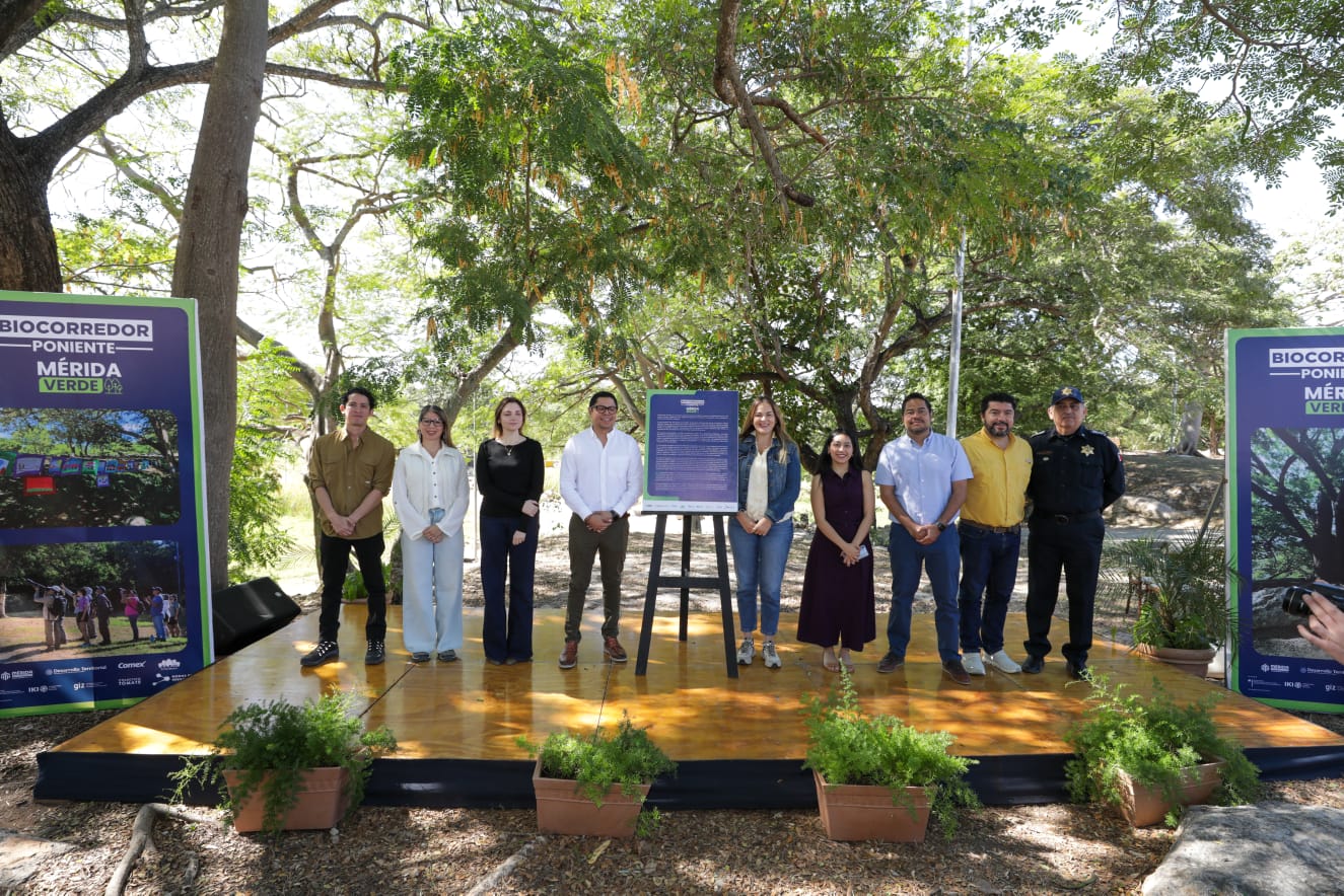 WhatsApp-Image-2026-02-04-at-2.34.14-PM