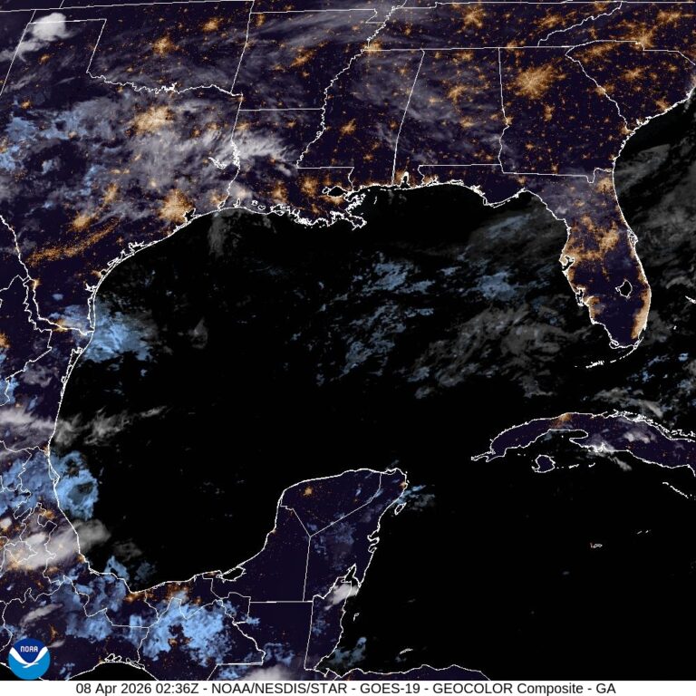 WhatsApp Image 2026-04-07 at 20.52.40