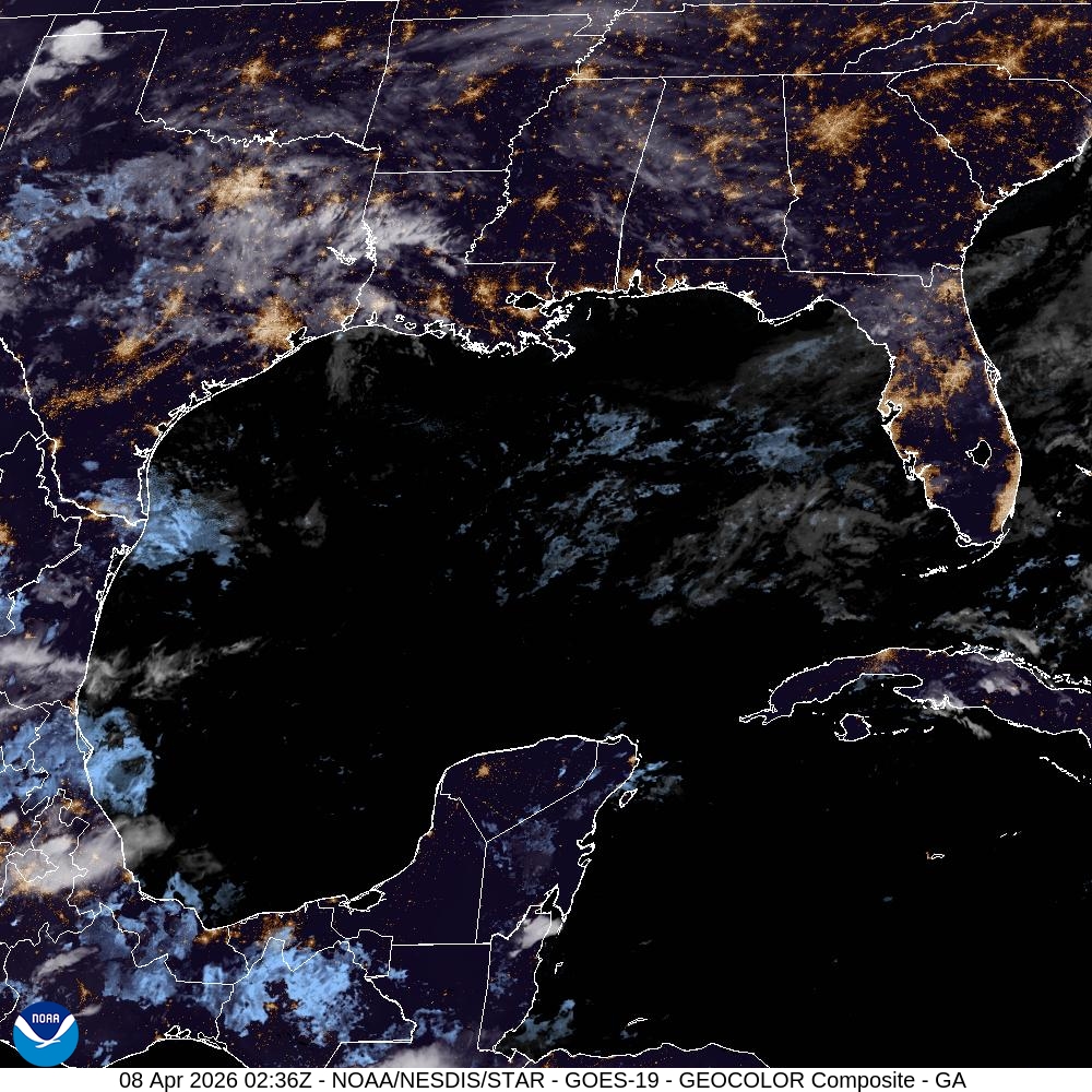 WhatsApp Image 2026-04-07 at 20.52.40