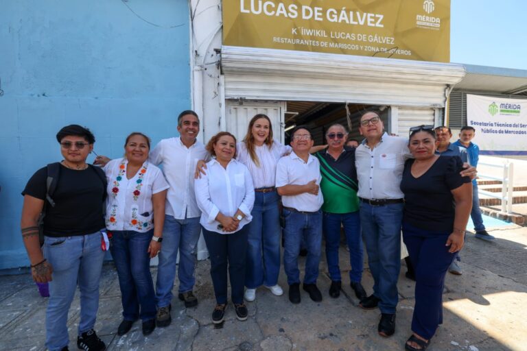 WhatsApp Image 2026-06-26 at 17.55.45